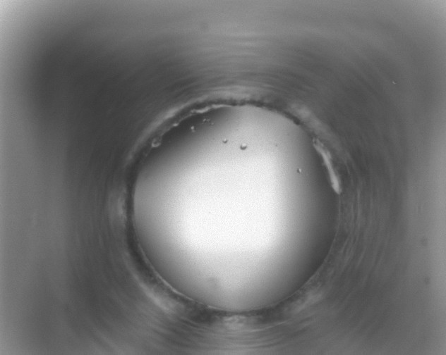 X0000069360064200605262009