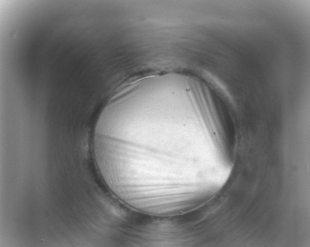 X0000069360065200605262009