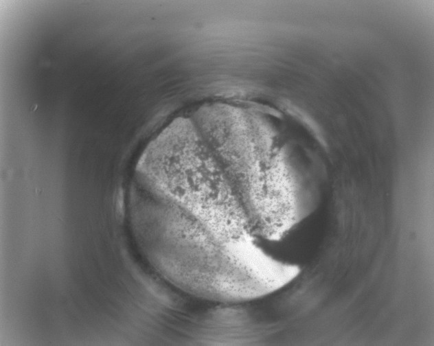 X0000069360067200605262009