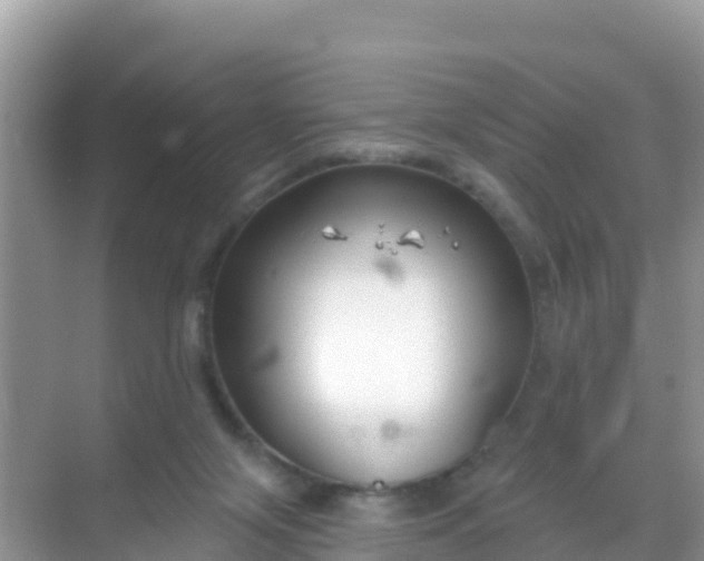 X0000069360071200605262009