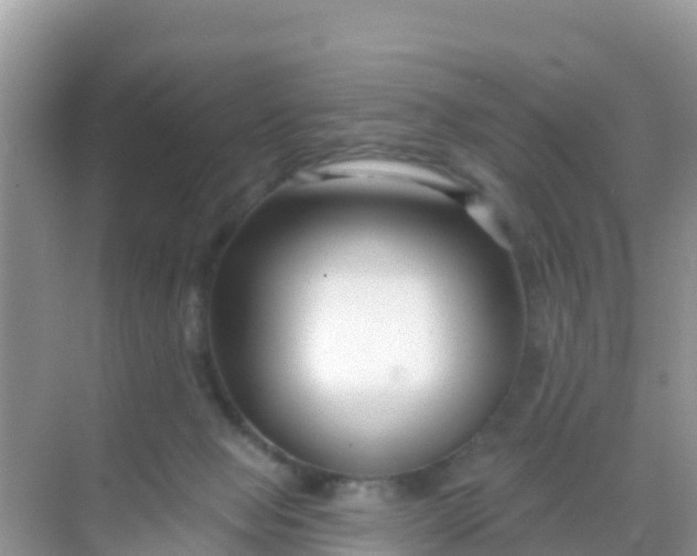 X0000069360077200605262009