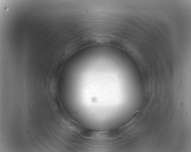 X0000069360078200605262009