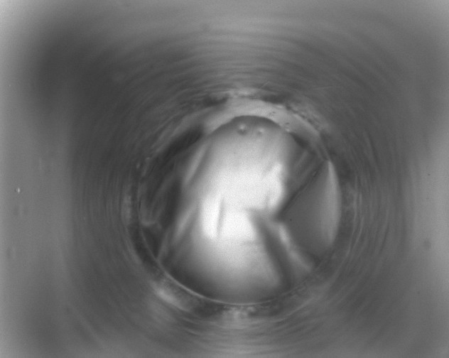 X0000069360080200605262010