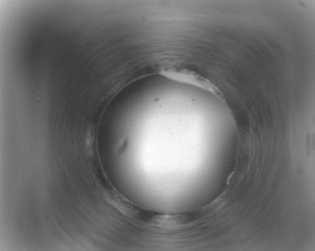 X0000069360082200605262010