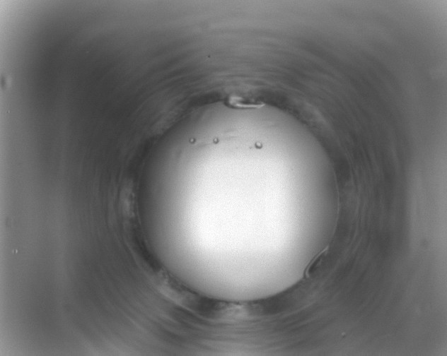 X0000069360083200605262010