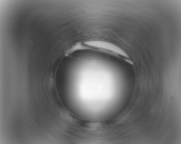 X0000069360085200605262010