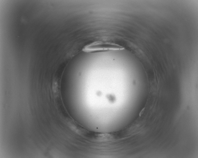 X0000069360087200605262010