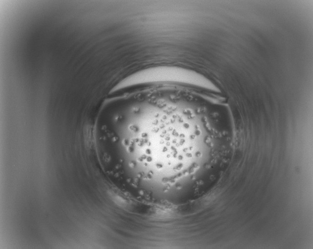 X0000069360093200605262010