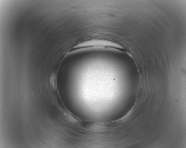 X0000069360094200605262010