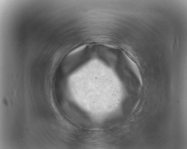 X0000069360097200605262009