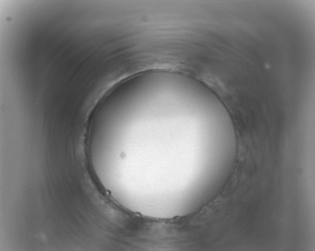 X0000069360098200605262009