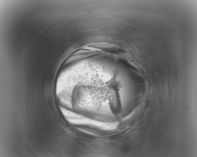 X0000069360099200605262009