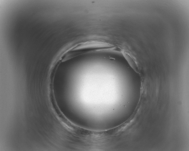 X0000069360101200605262009