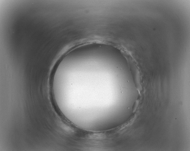 X0000069360102200605262009