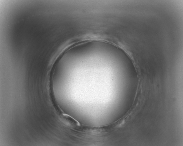 X0000069360103200605262009