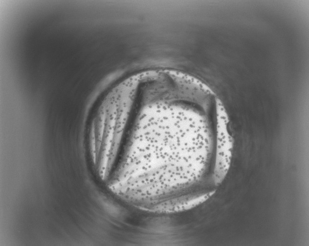 X0000069360104200605262009