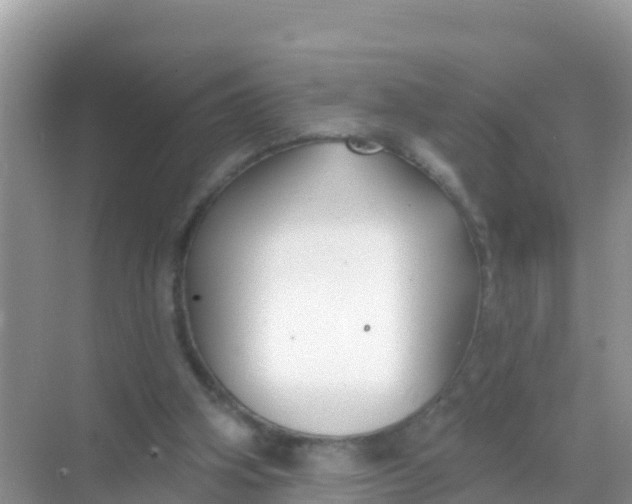 X0000069360106200605262009