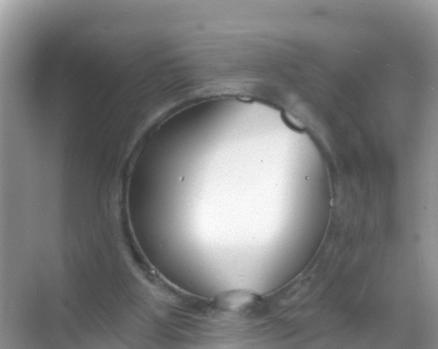 X0000069360107200605262009