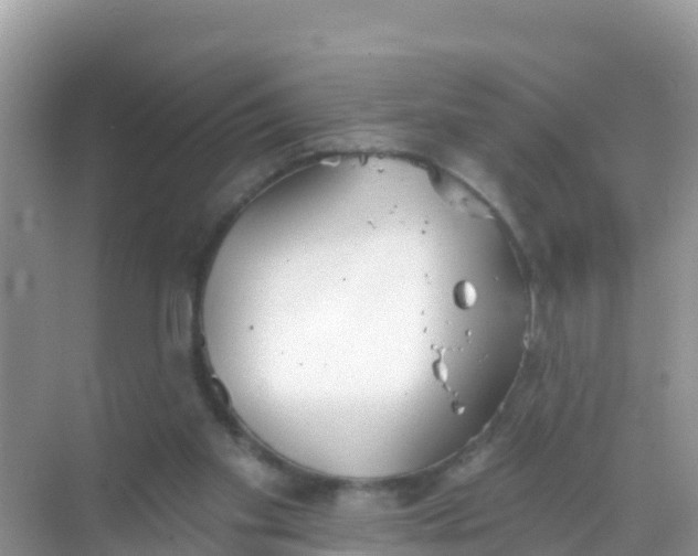 X0000069360109200605262009