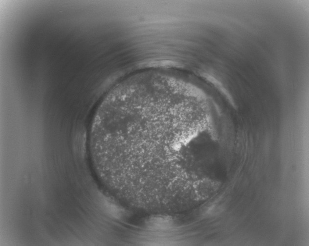 X0000069360110200605262009