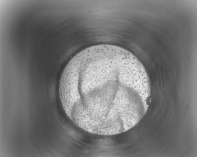 X0000069360112200605262009