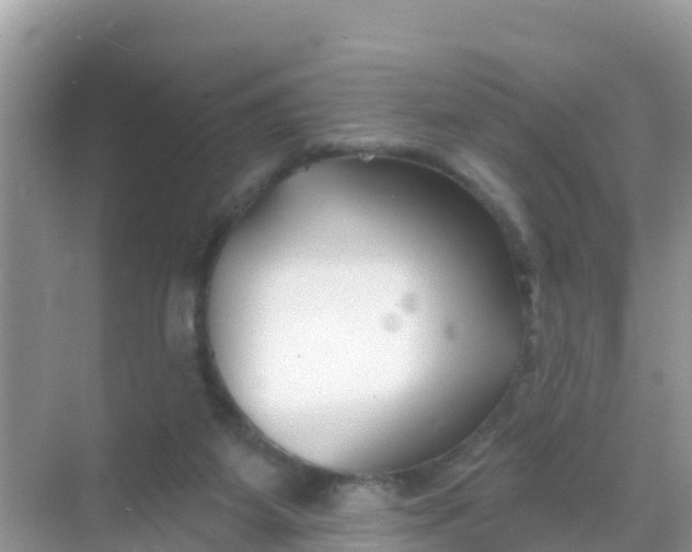 X0000069360115200605262009