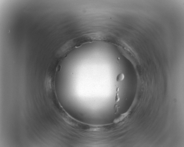 X0000069360117200605262009