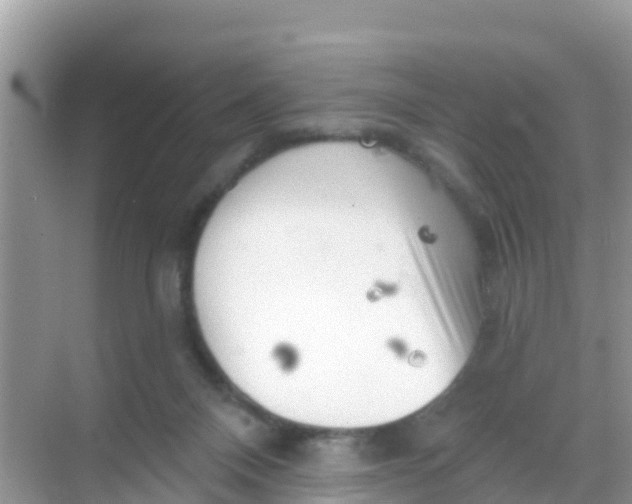 X0000069360120200605262009