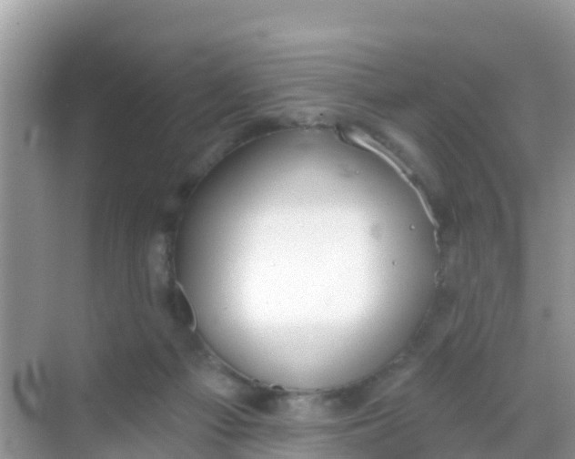 X0000069360121200605262009