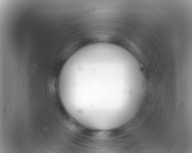 X0000069360122200605262009