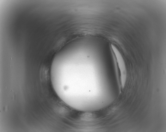 X0000069360123200605262009