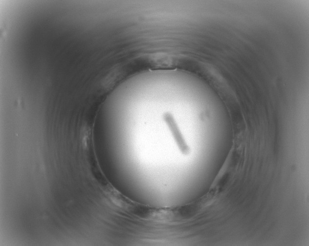 X0000069360125200605262009