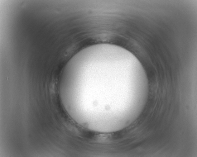 X0000069360126200605262008