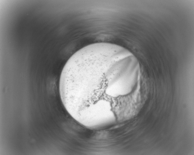 X0000069360127200605262008