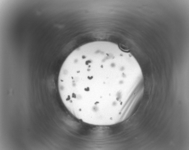 X0000069360128200605262008