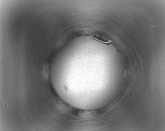 X0000069360129200605262008