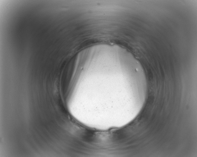 X0000069360131200605262008