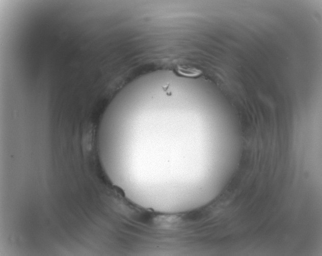 X0000069360133200605262008