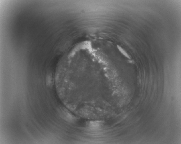 X0000069360134200605262008