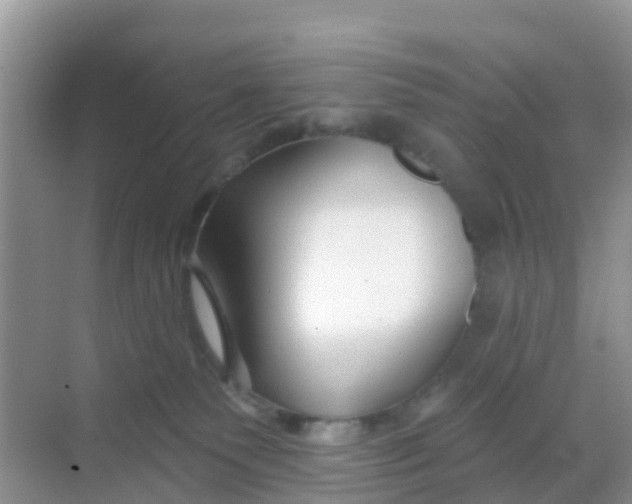 X0000069360135200605262008