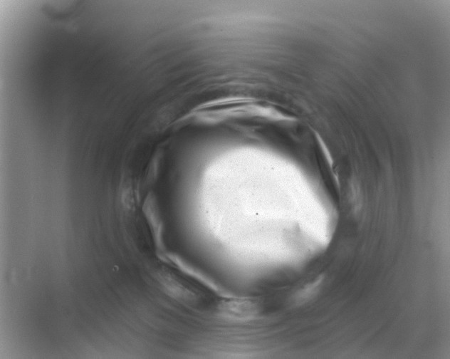 X0000069360137200605262008