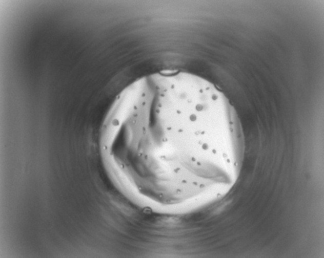 X0000069360140200605262008