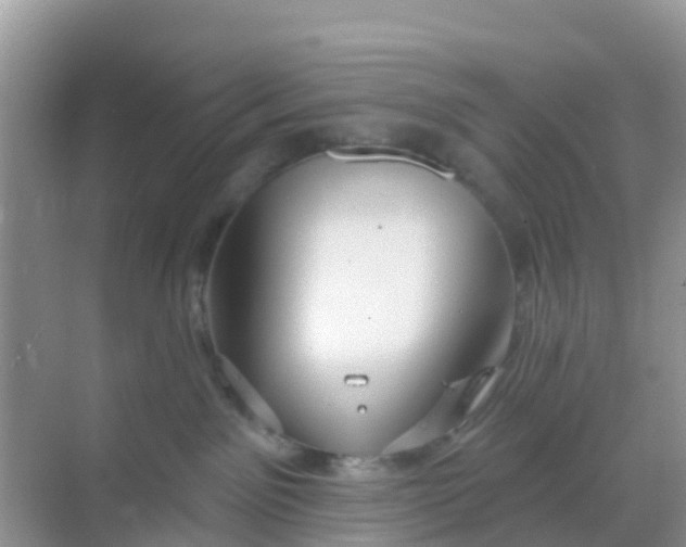 X0000069360141200605262008