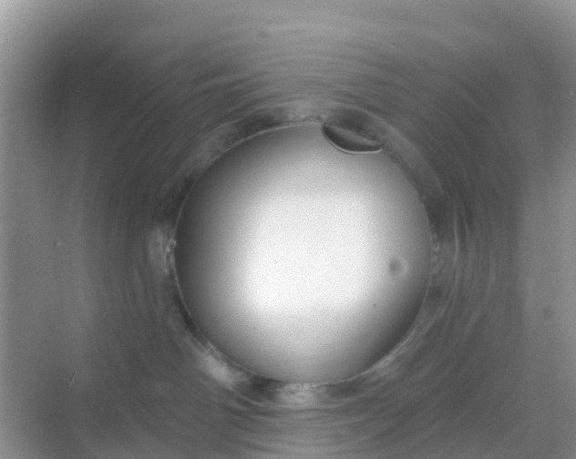 X0000069360142200605262008