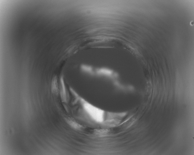 X0000069360143200605262008