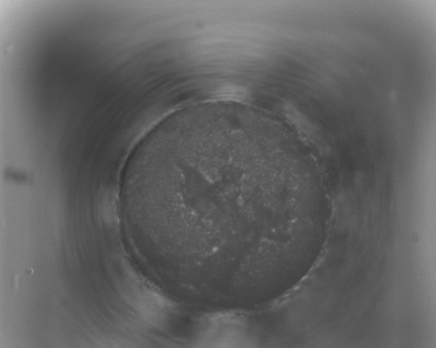 X0000069360146200605262007