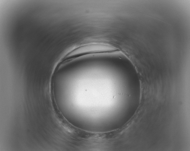 X0000069360148200605262007