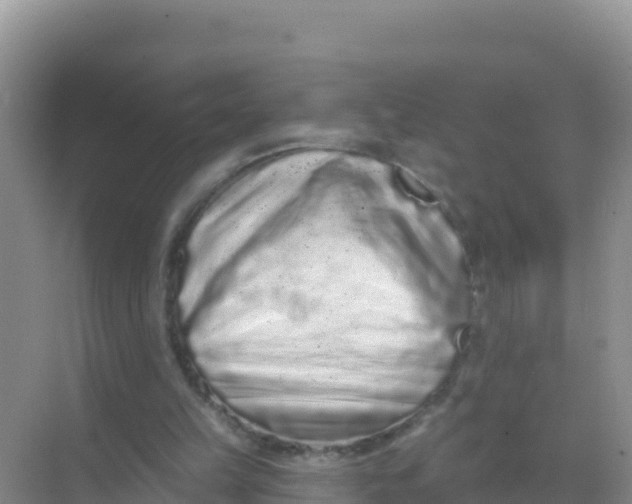 X0000069360149200605262007