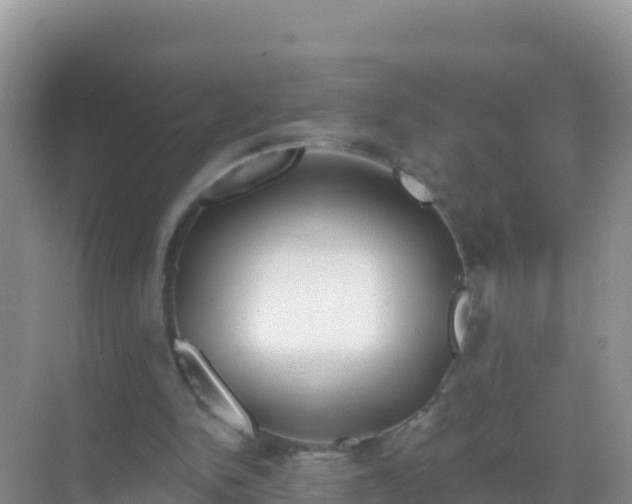 X0000069360150200605262007