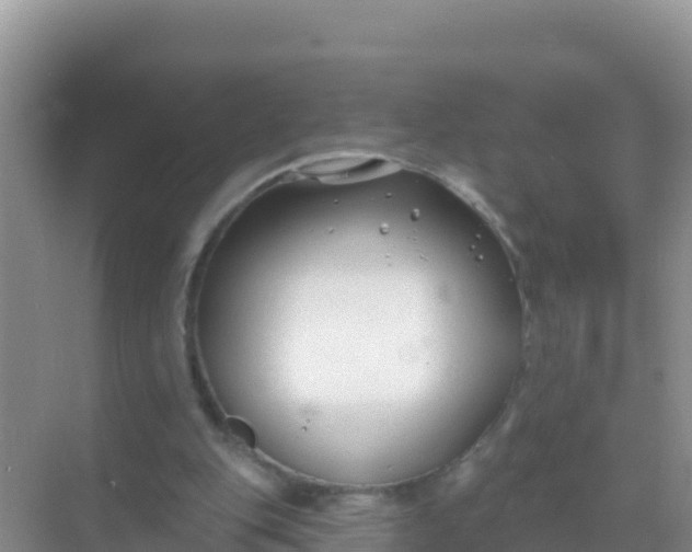 X0000069360151200605262007